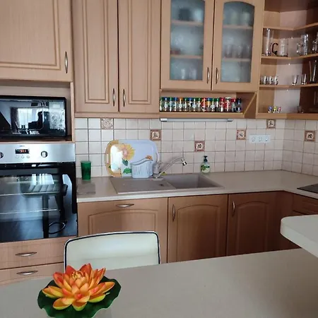 Larix Appartement *