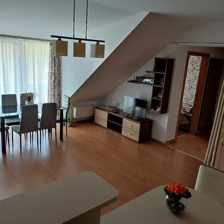 Apartment Larix Sarvar