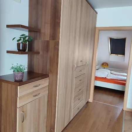Larix * Sárvár